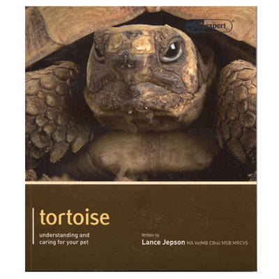 Tortoise - Pet Expert: Understanding and Caring for Your Pet - Pet Expert (Paperback)