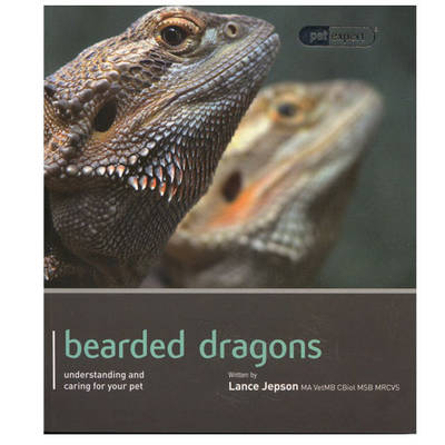 Bearded Dragon - Pet Expert (Paperback)