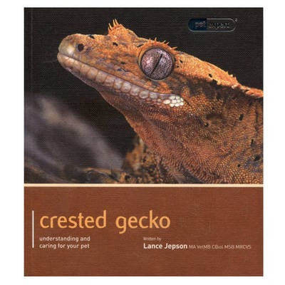 Crested Gecko - Pet Expert: Understanding and Caring for Your Pet - Pet Expert (Paperback)