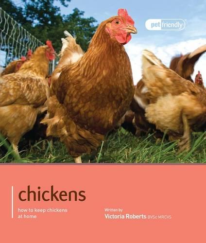 Chicken - Pet Friendly (Paperback)
