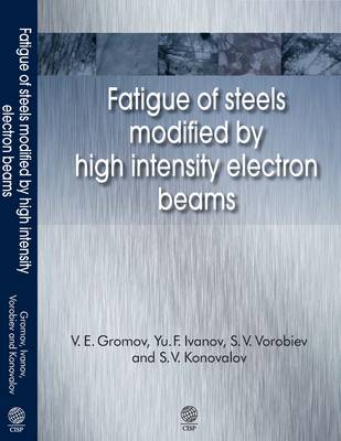 Fatigue of Steels Modified by High Intensity Electron Beams (Hardback)