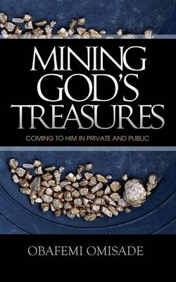 Mining God's Treasures (Paperback)