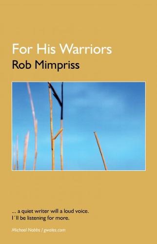 For his Warriors - Thirty Stories (Paperback)