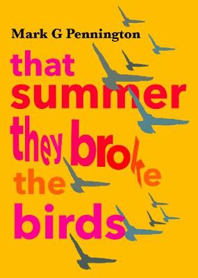 That summer they broke the birds (Paperback)