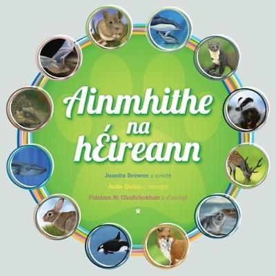 Ainmhithe na hEireann (Paperback)
