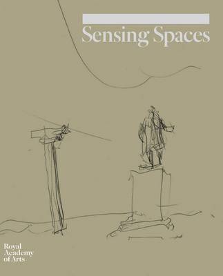 Sensing Spaces (Hardback)