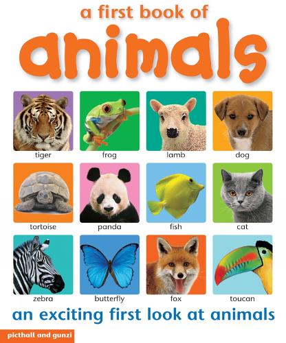 First Book of: Animals - First Book of (Paperback)