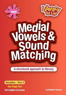 Consonant Blends & Sound Matching: A Structured Approach to Literacy - Literacy for Life 3 (Paperback)