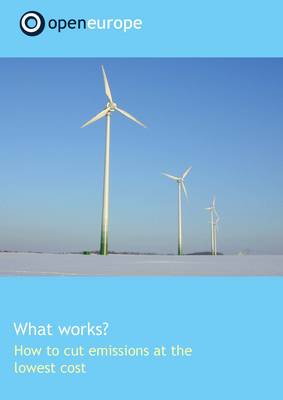What Works? How to Cut Emissions at the Lowest Cost (Paperback)