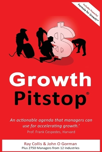 Growth Pitstop (Paperback)