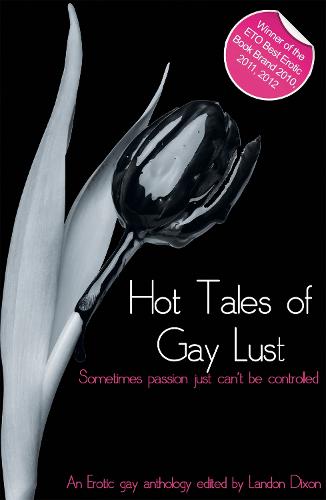 Hot Tales of Gay Lust - Xcite Best-Selling Gay Collections 5 (Paperback)