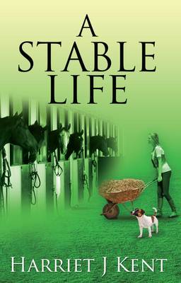 A Stable Life (Paperback)