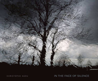 In the Face of Silence (Hardback)