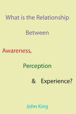 What is the Relationship Between Awareness, Perception & Experience? (Paperback)