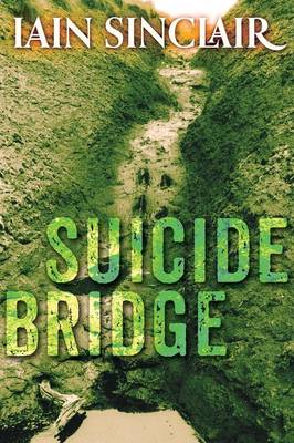 Suicide Bridge (Paperback)
