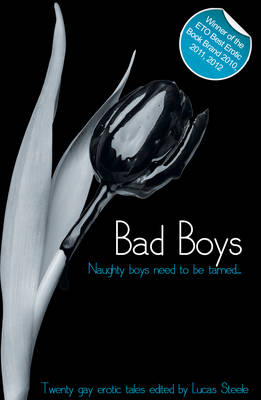 Bad Boys: When Men Come Together - Xcite Best-Selling Gay Collections 1 (Paperback)