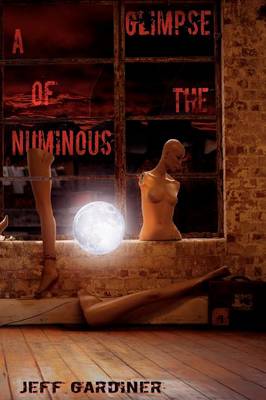 A Glimpse of the Numinous (Paperback) (Paperback)