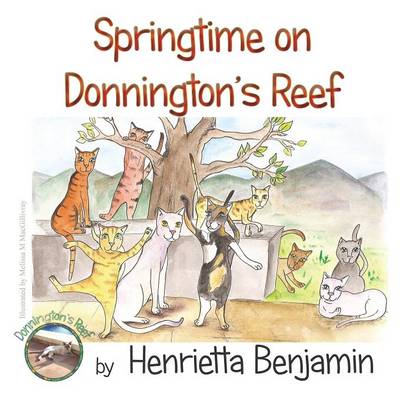 Springtime on Donnington's Reef - Donnington's Reef 2 (Paperback)