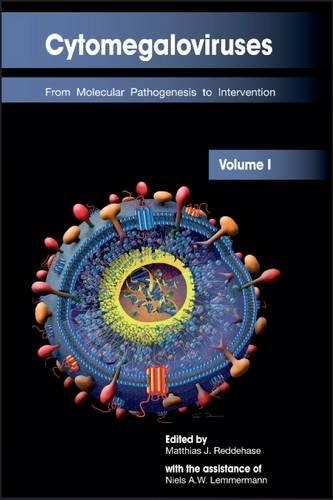 Cytomegaloviruses: Volume I: From Molecular Pathogenesis to Intervention (Hardback)