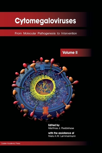 Cytomegaloviruses: Volume II: From Molecular Pathogenesis to Intervention (Hardback)
