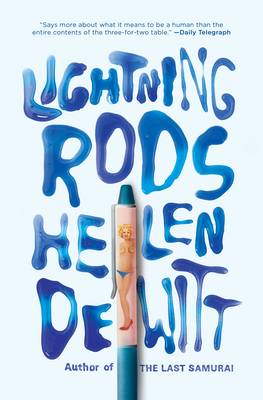 Lightning Rods: Shortlisted for the 2013 Bollinger Everyman Wodehouse Prize for comic fiction (Paperback)