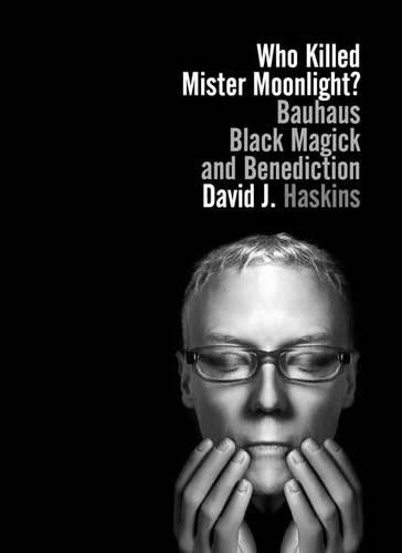 Throwing Frisbees at the Sun: A Book About Beck (Paperback)