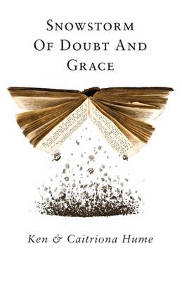 Snowstorm Of Doubt And Grace (Paperback)