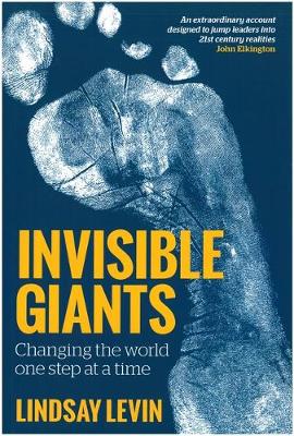Invisible Giants: Changing the World One Step at a Time (Hardback)