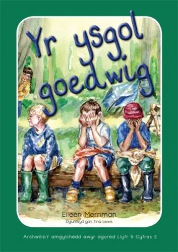 Archwilio'r Amgylchedd Awyr Agored yn y Cyfnod Sylfaen - Cyfres 2: Ysgol Goedwig, Yr (Paperback)