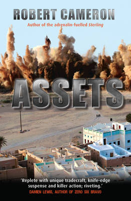 Assets (Paperback)