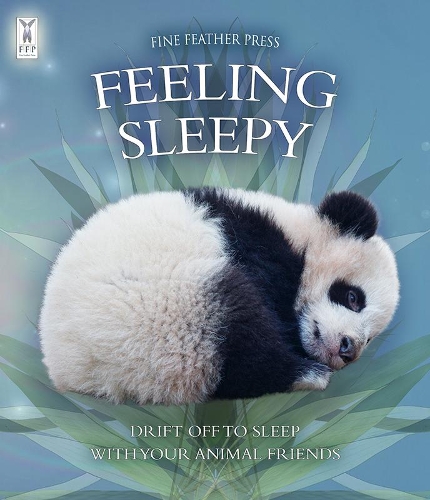 Feeling Sleepy (Board book)
