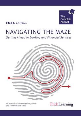 Navigating the Maze (UK): Getting Ahead in Banking and Finance (Paperback)