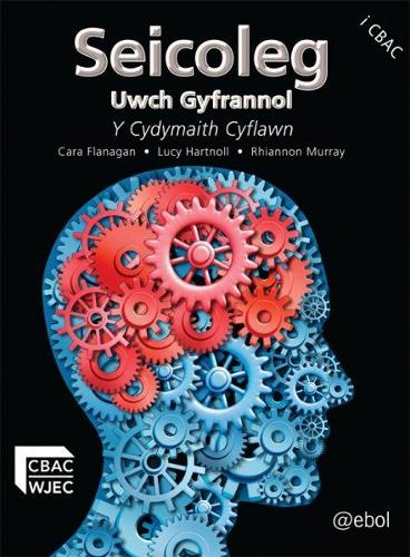 Seicoleg Uwch Gyfrannol - Y Cydymaith Cyflawn (Paperback)