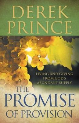 The Promise of Provision (Paperback)