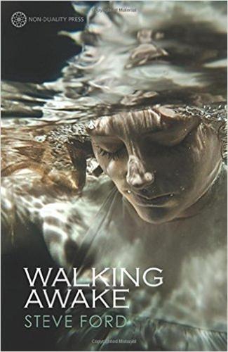Walking Awake (Paperback)