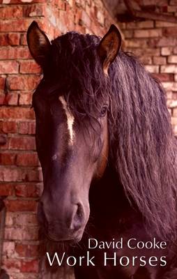 Work Horses (Paperback)