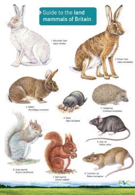 Guide to the Land Mammals of Britain