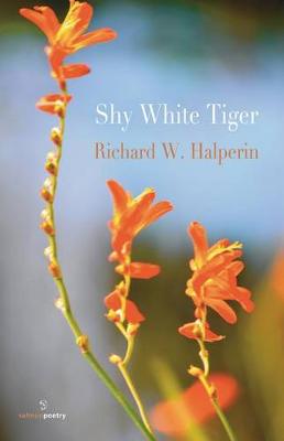 Shy White Tiger (Paperback)