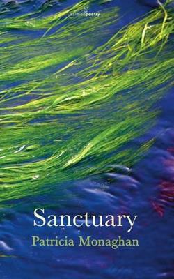 Sanctuary (Paperback)