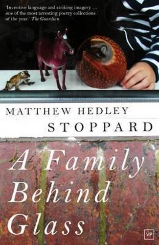 A Family Behind Glass (Paperback)