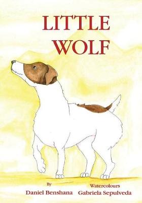 Little Wolf (Paperback)