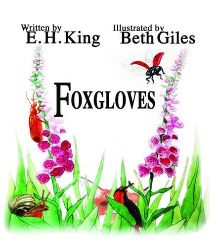 Foxgloves - The Meadow Flower Series 1 (Paperback)