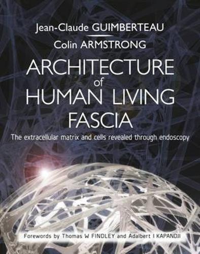 Architecture of Human Living Fascia: The Extracellular Matrix and Cells Revealed Through Endoscopy