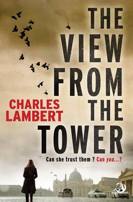The View from the Tower (Paperback)
