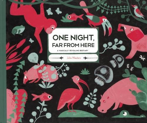 One Night Far From Here Hardback