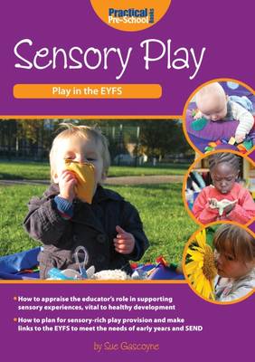 Sensory Play - Play in the EYFS (Paperback)