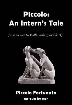Piccolo: An Intern's Tale 2014 - Piccolo 1 (Paperback)