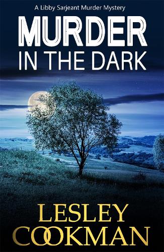 Murder in the Dark - A Libby Sarjeant Murder Mystery Series 12 (Paperback)