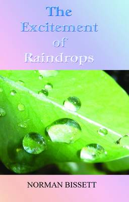 The Excitement of Raindrops (Paperback)