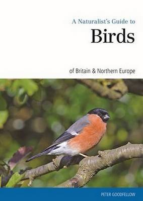 Naturalist's Guide to the Birds of Britain & Northern Ireland (Paperback)